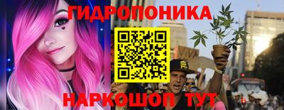 a pvp Чебоксары