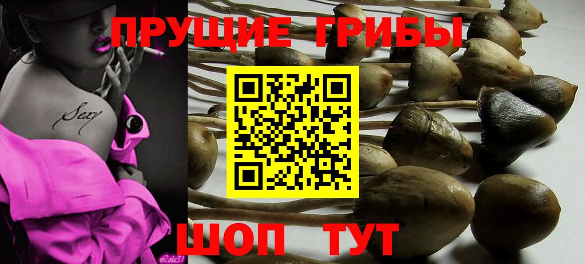 Псилоцибиновые грибы мицелий Уварово